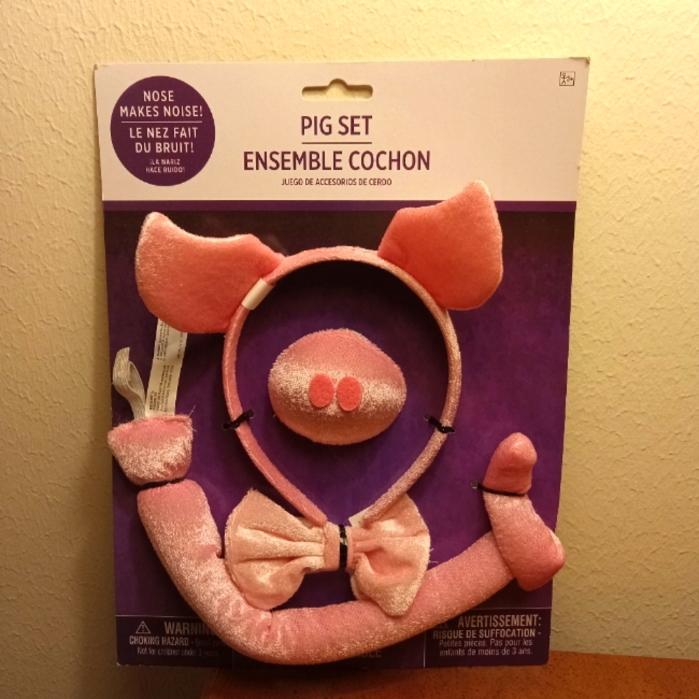 Pig Set Costume
